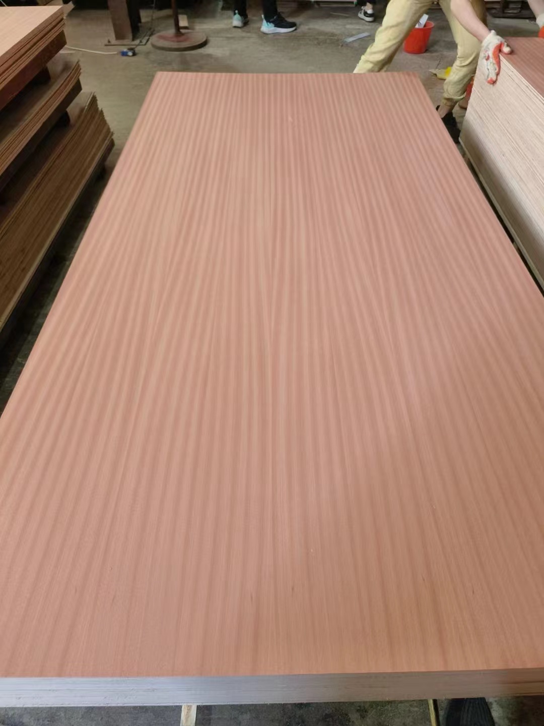 Sapele Plywood