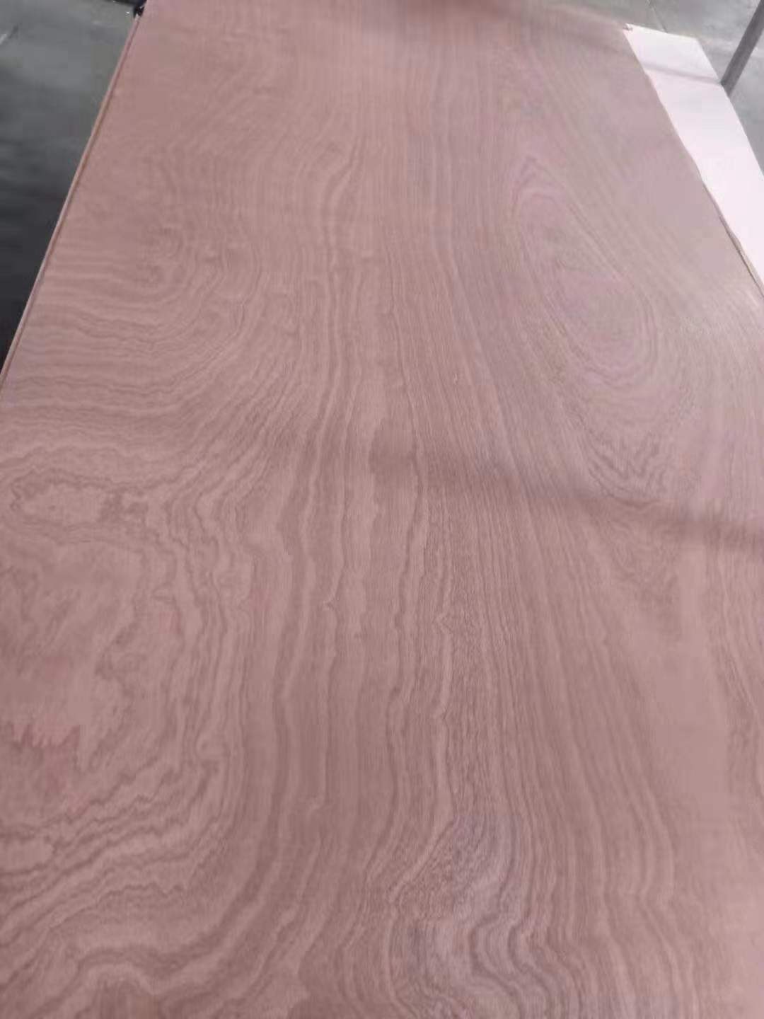 Sapele Plywood